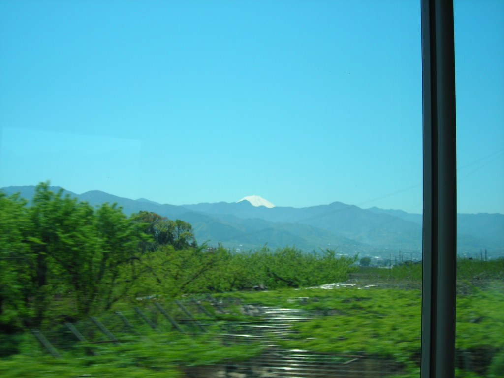 DSCN1646.jpg
