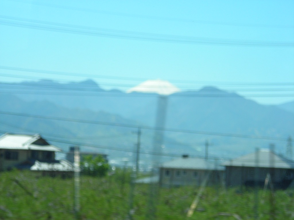 DSCN1650.jpg