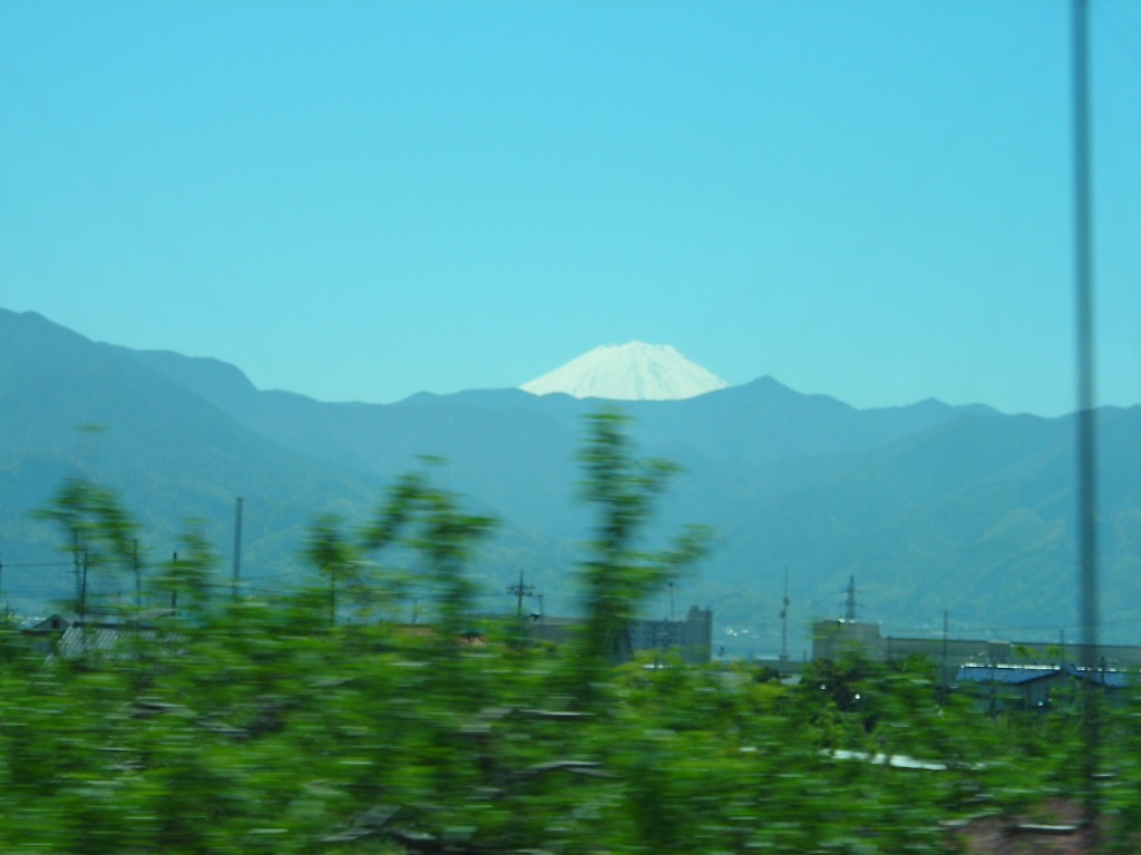 DSCN1657.jpg