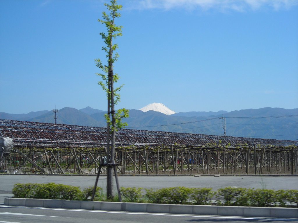 DSCN1667.jpg