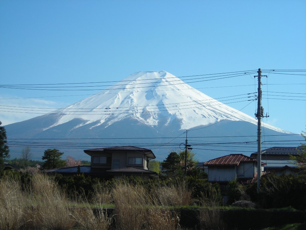 DSCN1692.jpg