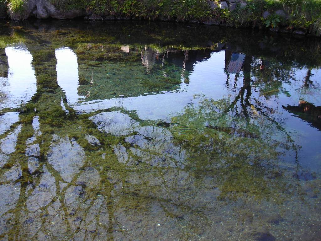 DSCN1697.jpg