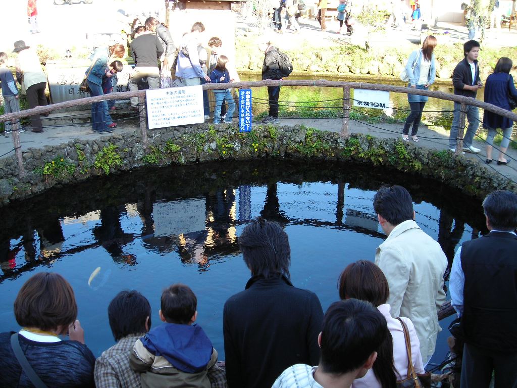DSCN1707.jpg