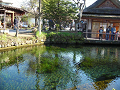 DSCN1712_thumb.png