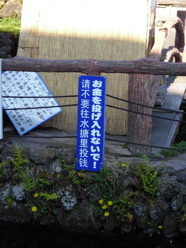 DSCN1714.jpg