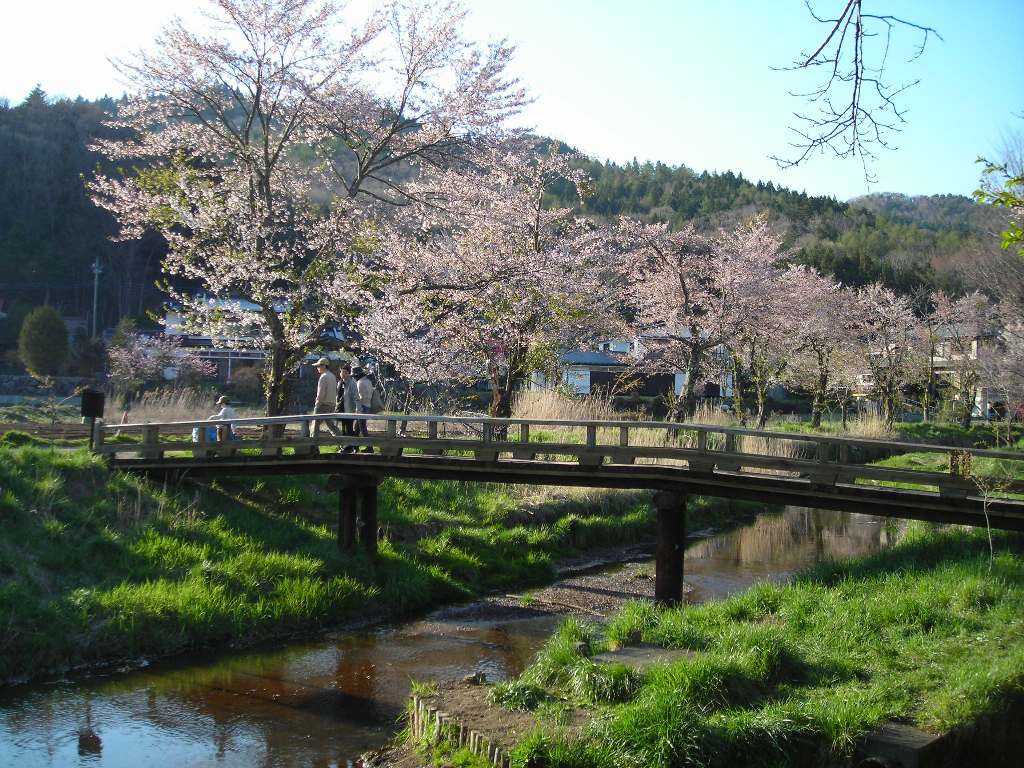 DSCN1719.jpg