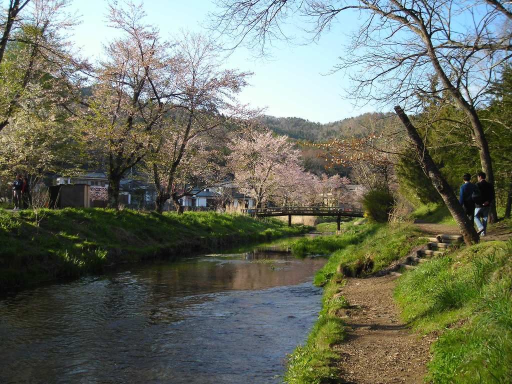 DSCN1720.jpg