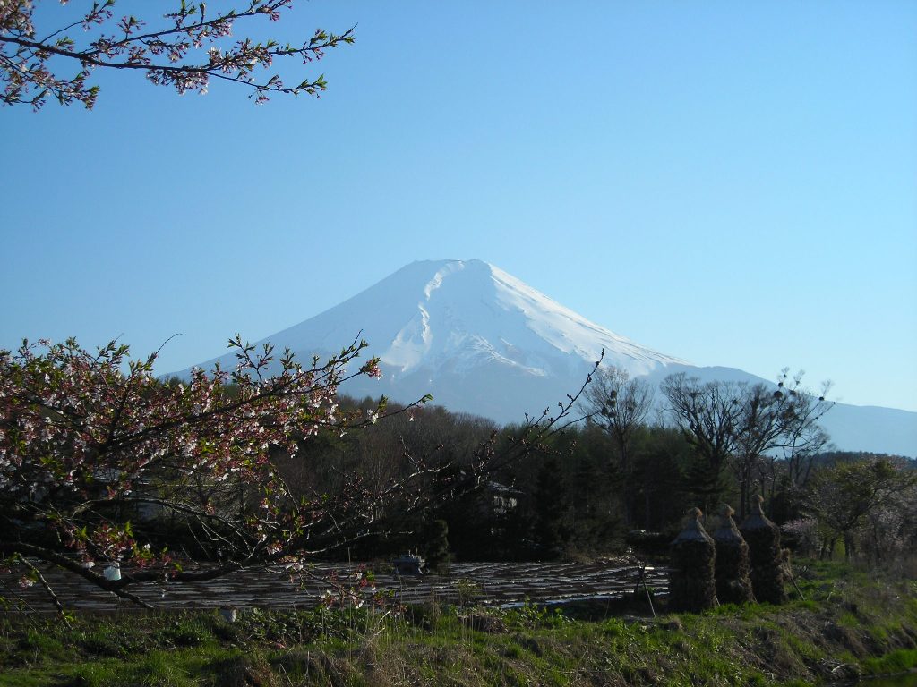 DSCN1725.jpg