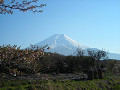 DSCN1725_thumb.png