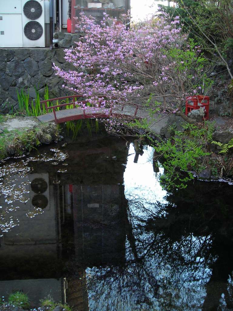 DSCN1732.jpg