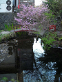 DSCN1732_thumb.png