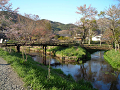 DSCN1733_thumb.png