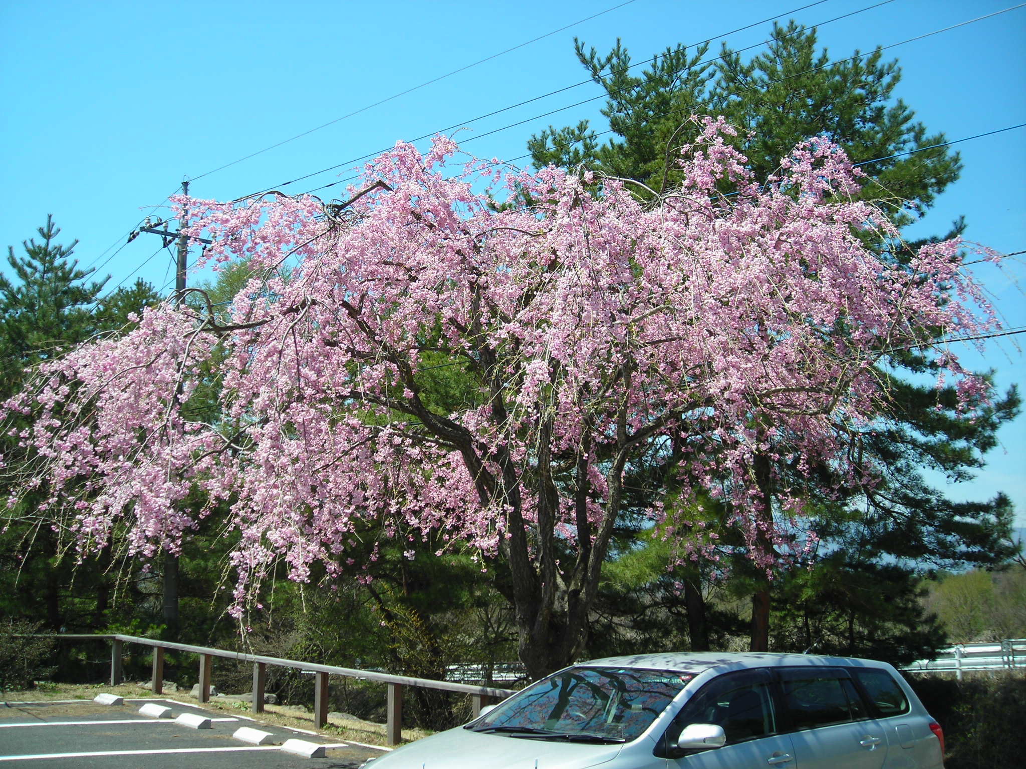 DSCN1759.JPG