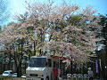 DSCN1764_thumb.png