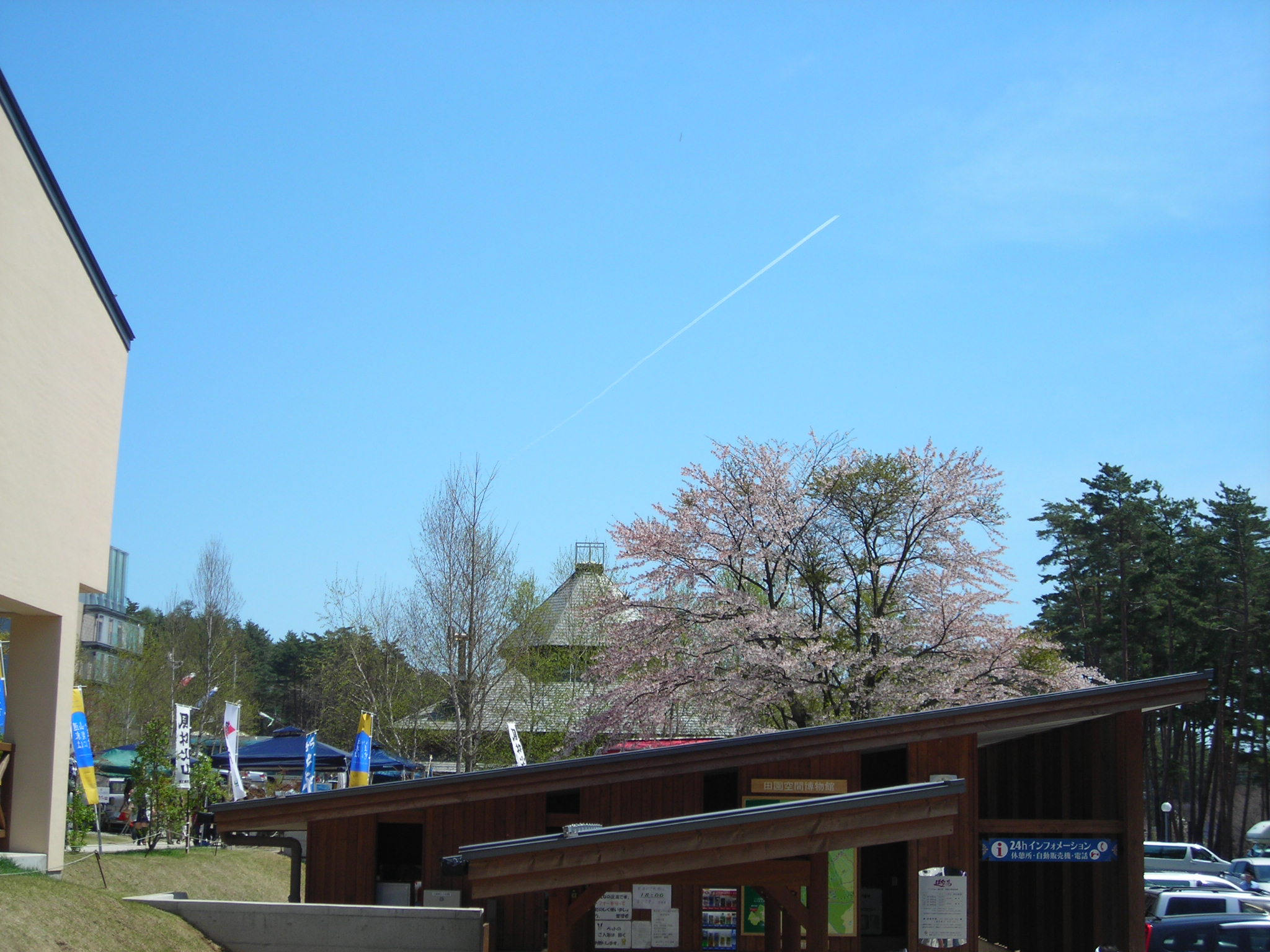 DSCN1767.JPG