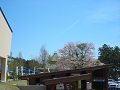 DSCN1767_thumb.png